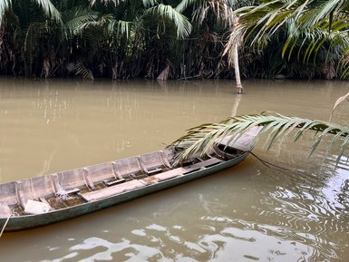 Ein schmaler Holzboot liegt am Ufer eines ruhigen Gewässers, umgeben von üppigem, grünem Palmenbewuchs.