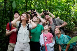 Familien beobachten aufmerksam die Tierwelt mit Ferngläsern im Regenwald – Costa Rica Familienreise