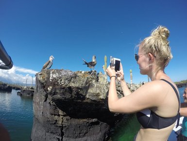 Eine Frau mit blonden Haaren fotografiert Vögel auf einem Felsen in einer malerischen Küstenlandschaft.
