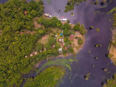 Ein Blick aus der Vogelperspektive auf das grüne Amazonasgebiet mit einem kleinen Lodge-Resort in der Mitte.
