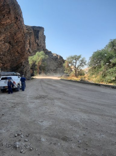 Eine unbefestigte Straße zieht sich staubig durch die Landschaft - Namibia Urlaub mit Kindern
