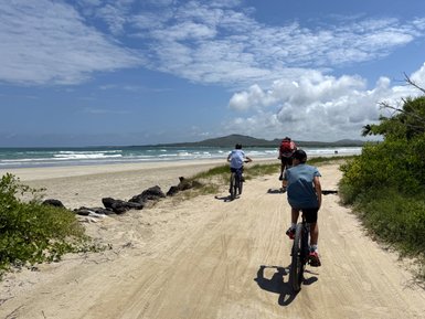 Drei Radfahrer fahren auf einem sandigen Weg entlang eines Strandes, umgeben von sanften Wellen und grüner Vegetation.