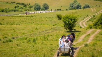 Eine Gruppe von Menschen sitzt in einer Pferdekutsche, die durch eine grüne Landschaft mit sanften Hügeln fährt.