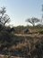 Zebras in freier Wildbahn - Südafrika Family & Teens - Südafrika mit Kindern & Jugendlichen