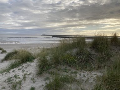 Ein Blick auf den ruhigen Strand, umgeben von sanften Dünen und üppigem Gras, unter einem bewölkten Himmel.