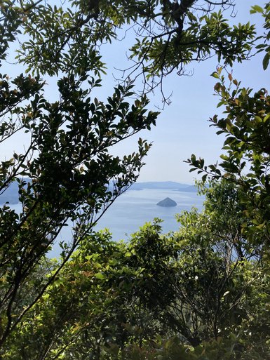 Ein Blick durch üppiges Grün auf das ruhige Wasser, das eine kleine Insel in der Ferne umrahmt.