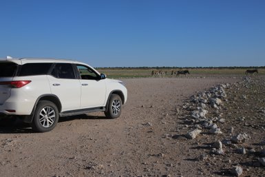 Eine Reisegruppe beobachtet Tiere gespannt aus einem SUV heraus - Namibia Urlaub mit Kindern