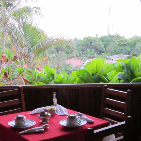 Ein gemütlicher Tisch mit rotem Tischtuch, gedeckt mit Tassen und einer Flasche, bietet einen Blick auf üppige Pflanzen.