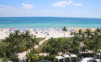 Ein sonniger Strand mit blauen und weißen Sonnenschirmen, umgeben von Palmen und einem klaren, türkisfarbenen Wasser.