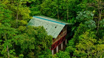 Ein stilvolles Baumhaus steht erhöht inmitten üppiger, grüner Dschungelpflanzen, umgeben von lebendiger Tropical Vegetation.