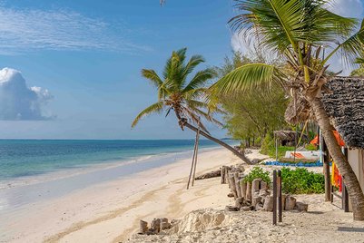 Ein ruhiger Strand mit sanften Wellen, umgeben von Palmen und einer malerischen Küstenlinie unter einem klaren Himmel.
