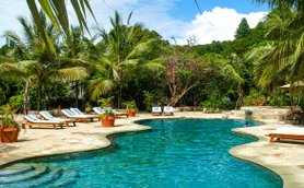 Ein einladender Pool umgeben von üppigen Palmen und bunten Blumen, ideal für entspannende Tage im Freien.