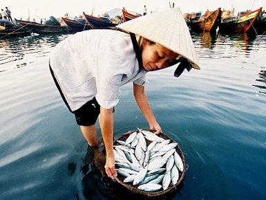 Eine Fischerin in traditioneller Kleidung steht im Wasser und hält einen Korb voller frischer Fische.