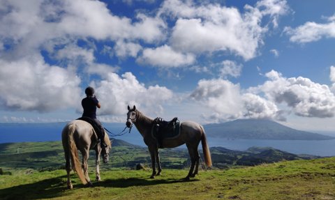 Ein Reiter steht auf einer Wiese und blickt auf eine atemberaubende Landschaft mit Bergen und Meer im Hintergrund.