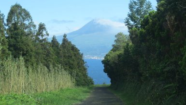 Ein schmaler Weg führt durch üppiges Grün, mit Blick auf das blaue Wasser und einen majestätischen Vulkan im Hintergrund.