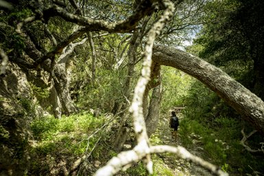 Spaziergang auf einem Naturpfad im The Hoop Nature Reserve – Südafrika Reise mit Kindern