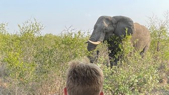 Ein Junge schaut aus dem Safari-Jeep auf einen Elefanten im Kruger-Nationalpark – Südafrika mit Kindern entdecken
