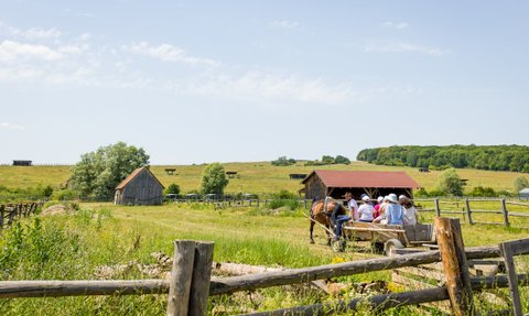 Eine Gruppe von Menschen sitzt auf einem Wagen, der von einem Pferd auf einer grünen Wiese gezogen wird, umgeben von ländlicher Idylle.