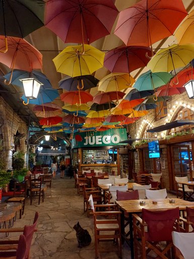 Bunte Regenschirme hängen über einem gemütlichen Café, während Gäste entspannt an Tischen sitzen und eine Katze beobachtet.