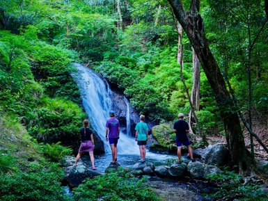 Eine Gruppe von vier Personen steht in einem üppigen, grünen Waldufer an einem kleinen Wasserfall und genießt die Aussicht.