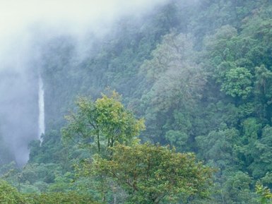 Wasserfall umgeben von dichtem Grün im Nebelwald von Monteverde – Costa Rica Reise mit Kindern