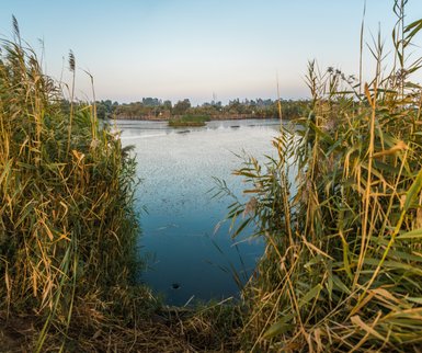 Aussicht auf das Geuchtgebiet - Jordanien Familienurlaub