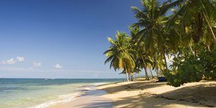 Ein ruhiger Strand mit feinem Sand, umgeben von hohen Palmen und klarem, blauem Wasser unter einem strahlend blauen Himmel.