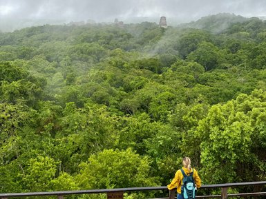 Eine Person in gelber Jacke steht auf einer Aussichtsplattform und blickt auf den dichten, grünen Dschungel von Tikal.