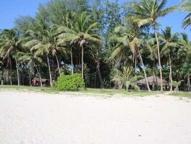 Ein sonniger Strand mit feinem, weißem Sand, umgeben von hohen Palmen und üppigem Grün im Hintergrund.