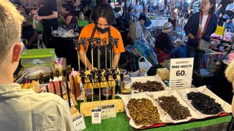 Verkaeuferin und Essensstand fuer Insekten auf lokalem Markt in Chiang Mai - Thailand Reise mit Kindern