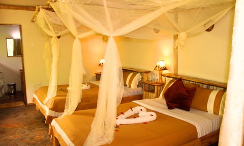 Ein gemütliches Zimmer mit zwei Betten, umgeben von Moskitonetzen und warmem Licht, das eine einladende Atmosphäre schafft.