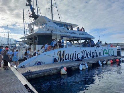 Eine Gruppe von Menschen besteigt ein großes Katamaran namens Magic Dolphin im Hafen von Madeira an einem sonnigen Tag.