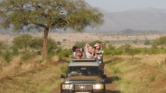 Eine Gruppe von Touristen steht auf den Dächern von Geländewagen und beobachtet die Landschaft in der afrikanischen Savanne.