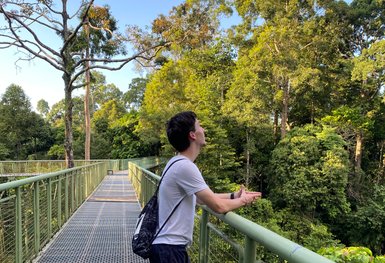 Teenager erkundet den tropischen Regenwald des Rainforest Discovery Centre aus – Malaysia & Borneo Reise mit Kindern