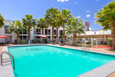 Ein einladender Poolbereich umgeben von Palmen und Sonnenschirmen, ideal für entspannende Tage im Freien.