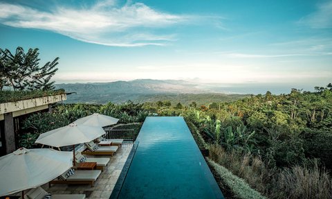 Grünen Kaffeefelder der Munduk Moding Plantation – Bali Reise mit Kindern