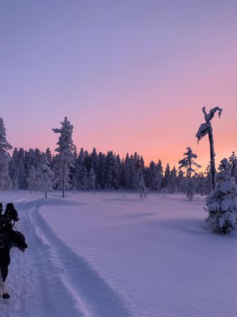 Eine Gruppe von Schlittenhunden zieht einen Schlitten durch eine verschneite Landschaft bei Sonnenuntergang.
