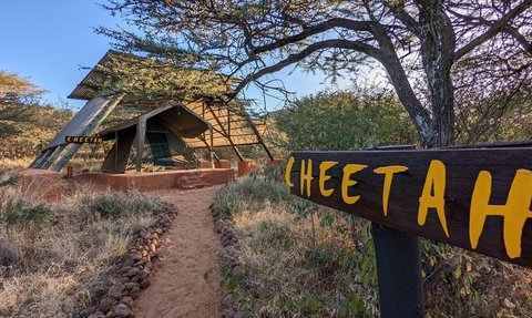 Ein moderner, schräg gebauter Unterstand in der Natur, umgeben von Sträuchern und Bäumen, mit einem Weg, der dorthin führt.