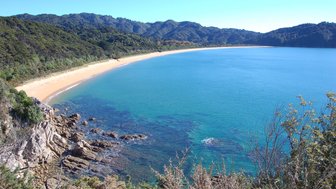 Ein atemberaubender Blick auf eine kurvenreiche Küste mit goldenem Sand und klarem, türkisfarbenem Wasser im Abel Tasman Nationalpark.