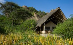 Ein gemütliches Zelt mit Strohdach steht inmitten üppiger, grüner Vegetation und leuchtend gelben Pflanzen.