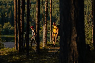 Zwei Wanderer erkunden den Oulanka Nationalpark, umgeben von hohen Bäumen und sanften Hügeln im warmen Abendlicht.