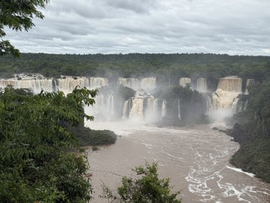 Die beeindruckenden Iguazú-Wasserfälle stürzen kraftvoll in den Fluss, umgeben von üppiger grüner Vegetation.
