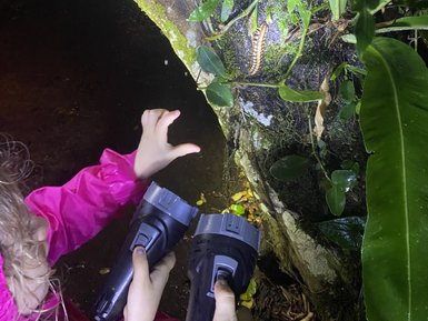 Familie entdeckt nachtaktive Tiere bei einer Wanderung im La Tirimbina Reservat – Costa Rica Familienreise