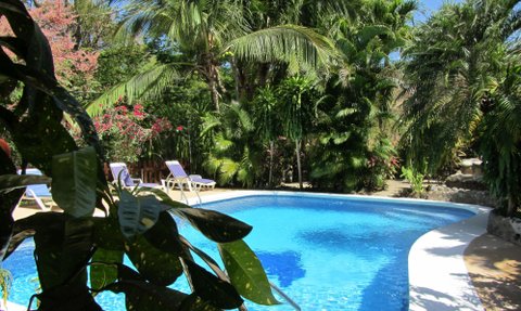 Ein glitzernder Pool umgeben von üppigem Grün und bunten Blumen, ideal für entspannende Tage im Freien.