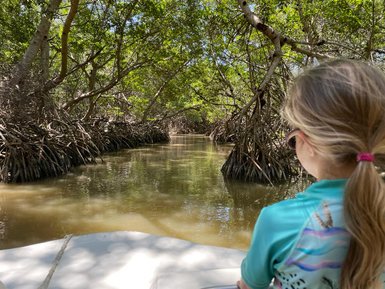 Mädchen genießt eine Bootstour durch das Mangrovengebiet von Celestún – Mexiko Familienreise