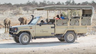 Safarijeep Etosha Game Drive - Namibia Reise mit Kindern