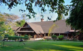 Ein charmantes Holzhaus mit einem schrägen Dach, umgeben von üppigem Grün und bunten Pflanzen im Freien.