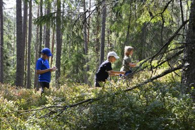 Drei Kinder erkunden einen sonnigen Wald, während sie mit Begeisterung Pflanzen und Blumen untersuchen.