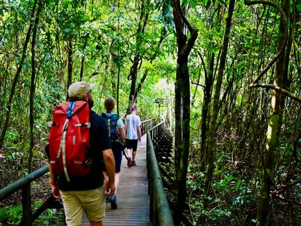 Eine Gruppe von Wanderern geht auf einem Holzsteg durch dichten, grünen Dschungel im Manuel Antonio Nationalpark.