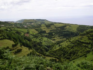 Eine weite, grüne Landschaft mit sanften Hügeln erstreckt sich bis zum Horizont, wo der Ozean auf die Küste trifft.